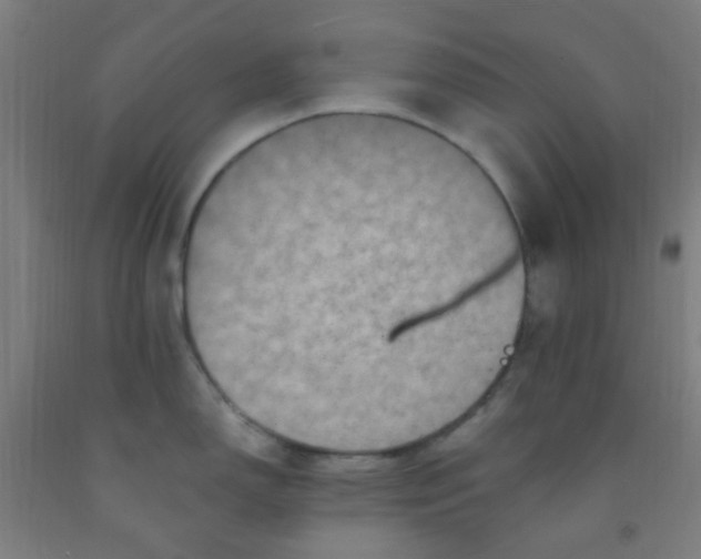 X0000092031150200709271604