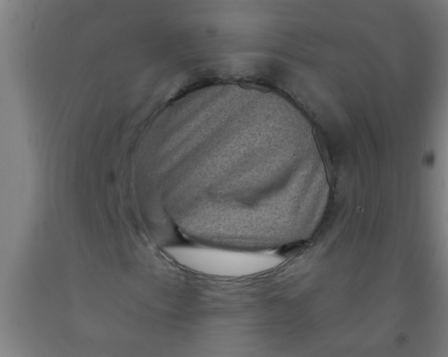 X0000092031153200709271604