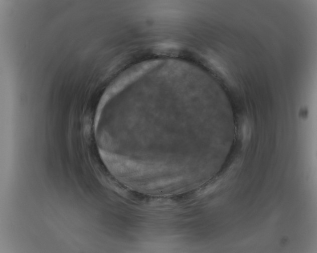 X0000092031154200709271604