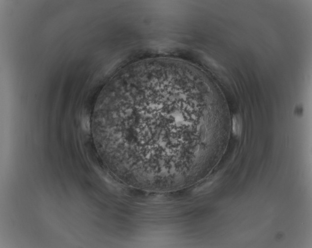 X0000092031155200709271604