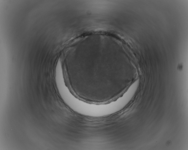 X0000092031156200709271604