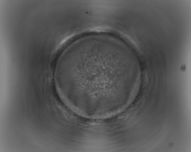 X0000092031158200709271604