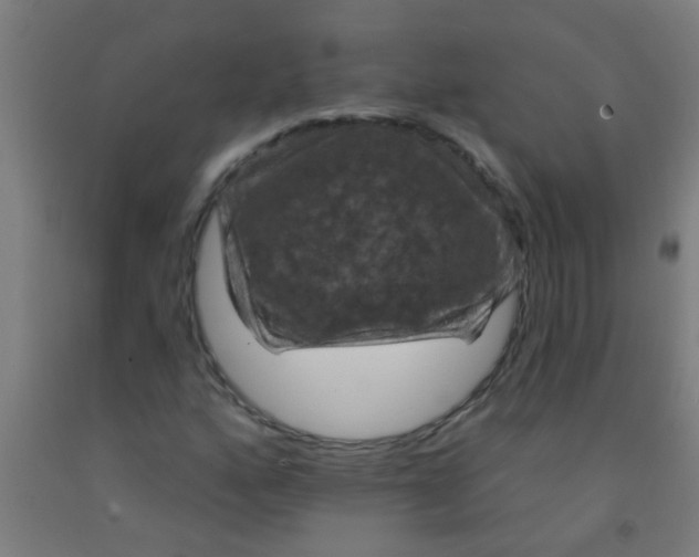 X0000092031160200709271603