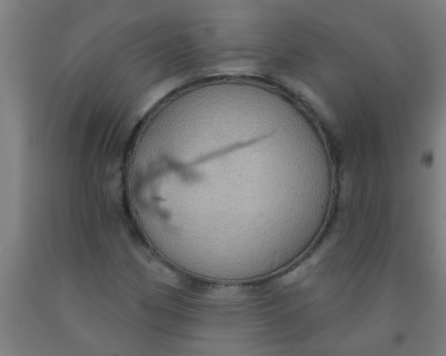 X0000092031162200709271603