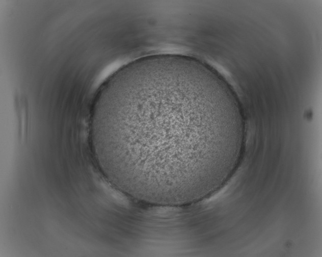 X0000092031163200709271603