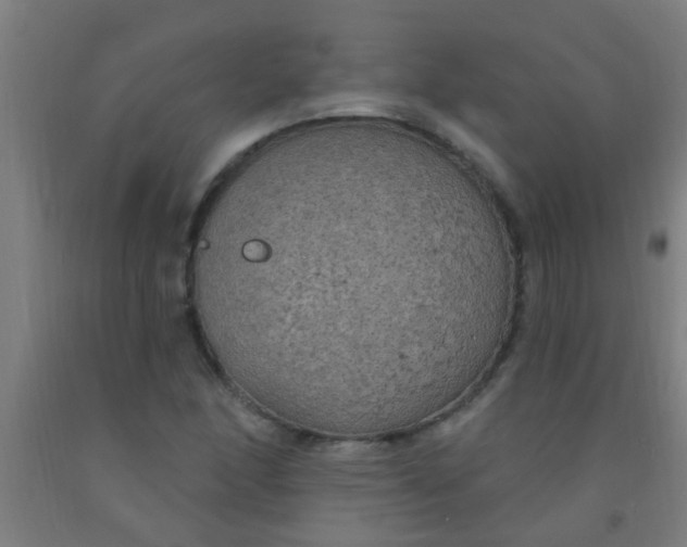 X0000092031166200709271603