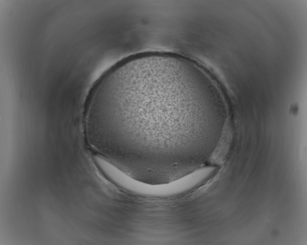 X0000092031168200709271603