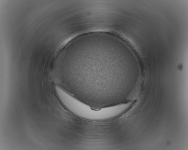 X0000092031169200709271603