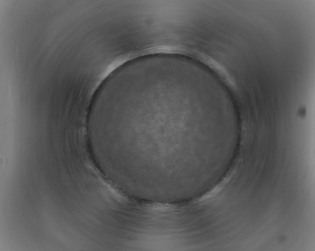 X0000092031170200709271603