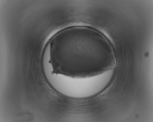 X0000092031173200709271603