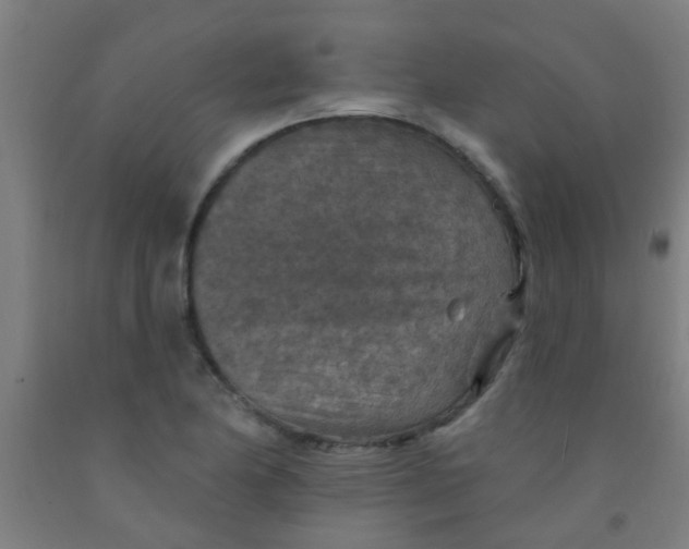 X0000092031174200709271603