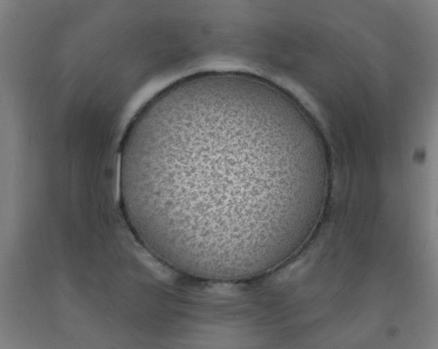 X0000092031175200709271603