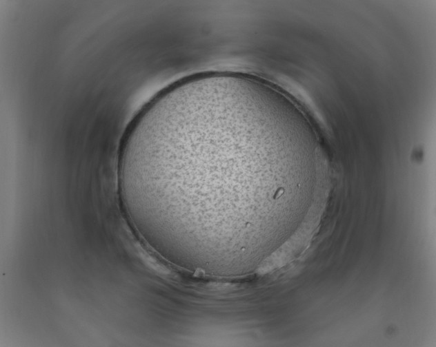 X0000092031176200709271603