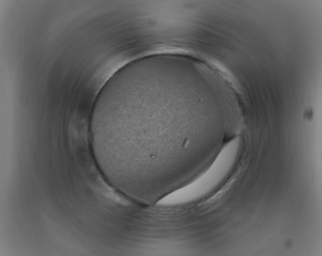 X0000092031177200709271603