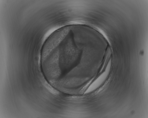 X0000092031179200709271603