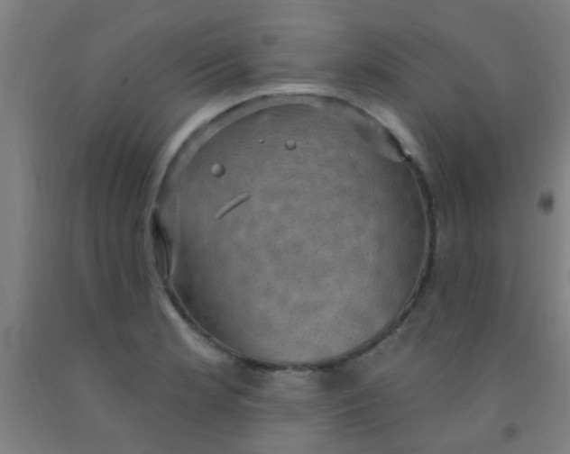 X0000092031181200709271603