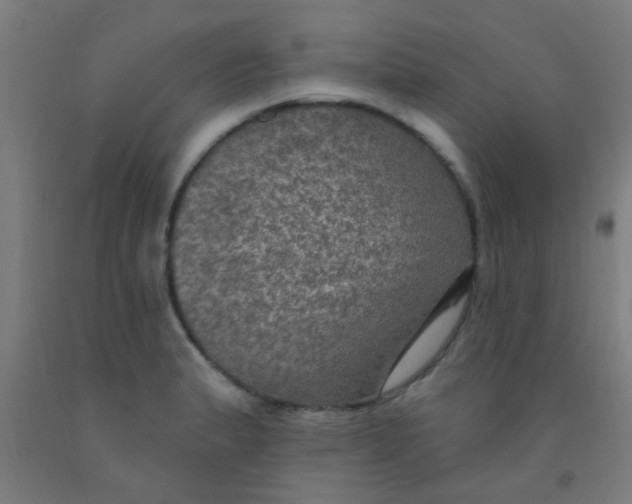 X0000092031183200709271603