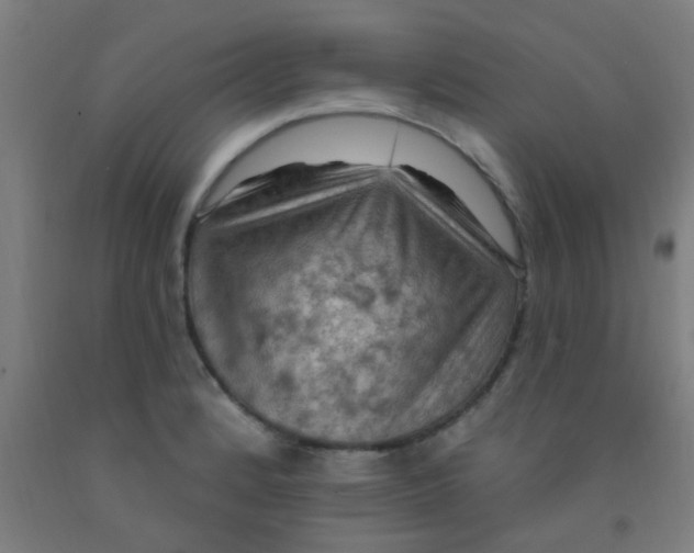 X0000092031184200709271603