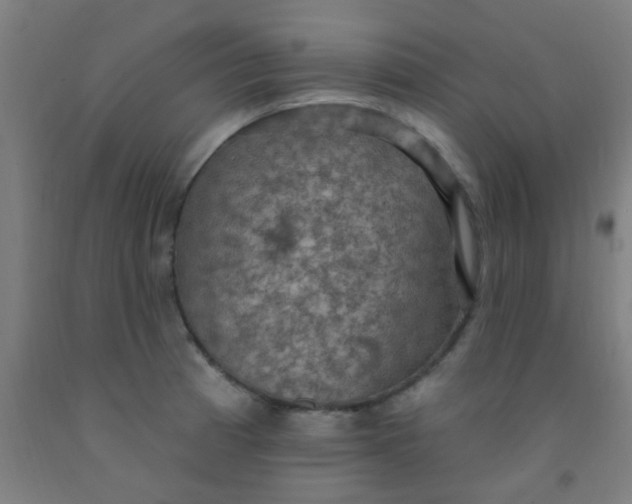 X0000092031185200709271603