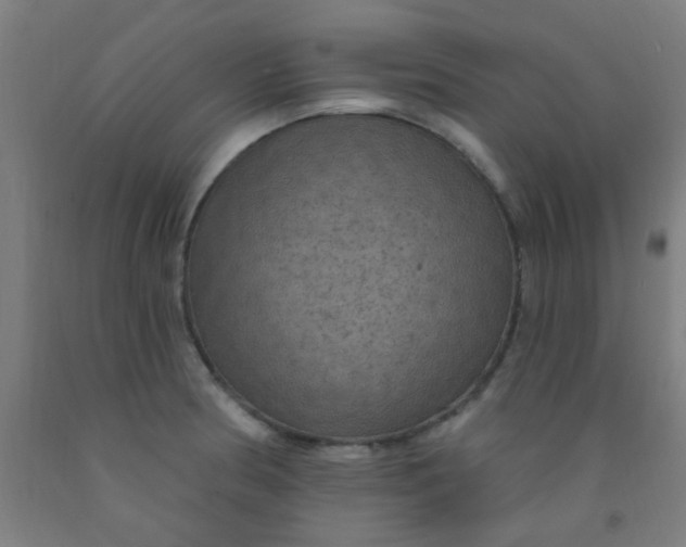 X0000092031186200709271603