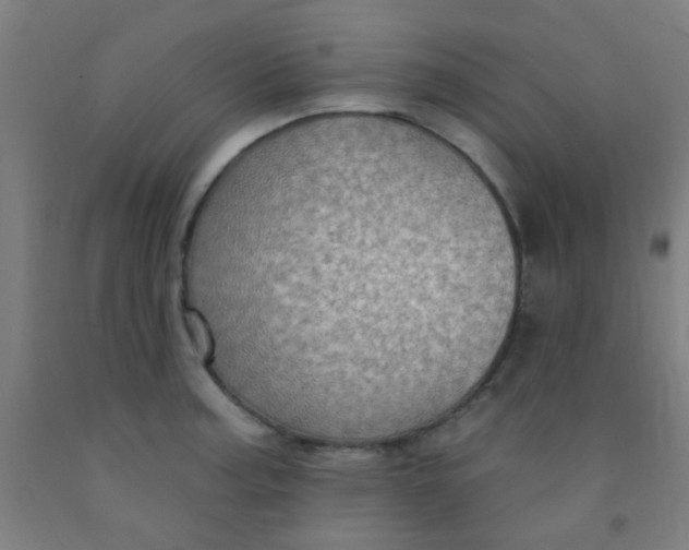 X0000092031187200709271603