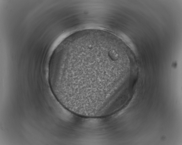 X0000092031188200709271603