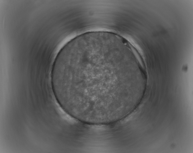 X0000092031189200709271603