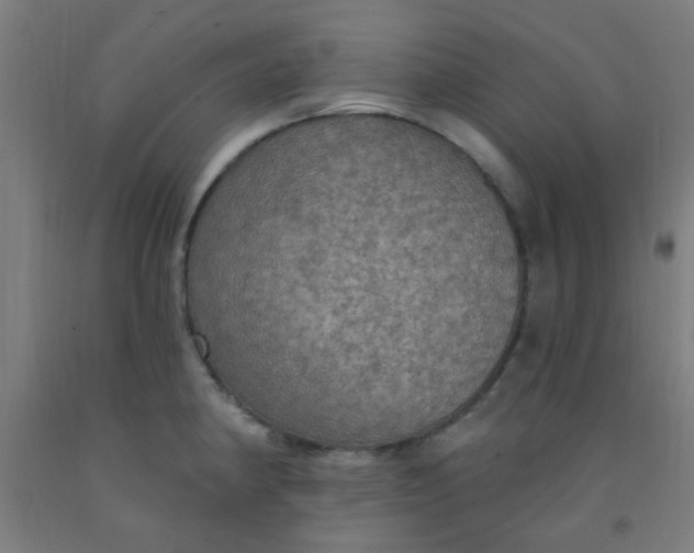 X0000092031190200709271603