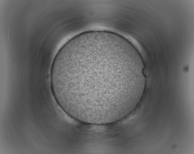 X0000092031191200709271603