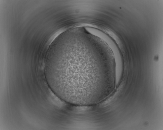 X0000092031193200709271603