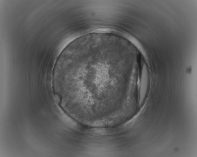 X0000092031194200709271603