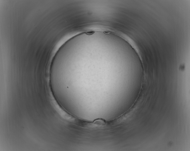 X0000092031195200709271603