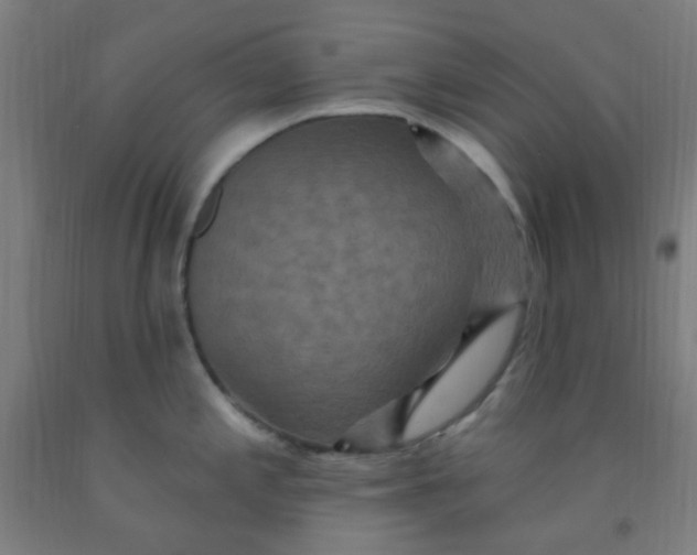 X0000092031197200709271603