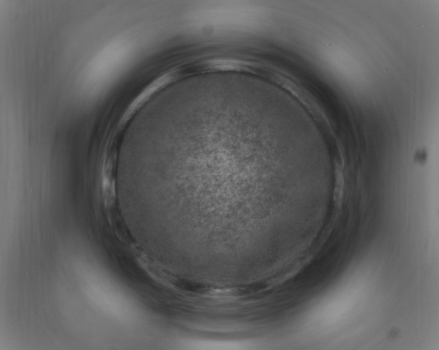 X0000092031198200709271603