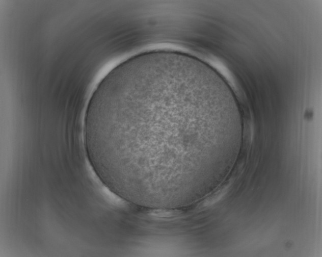 X0000092031199200709271603