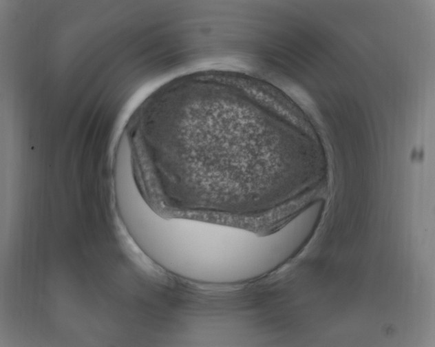 X0000092031200200709271603