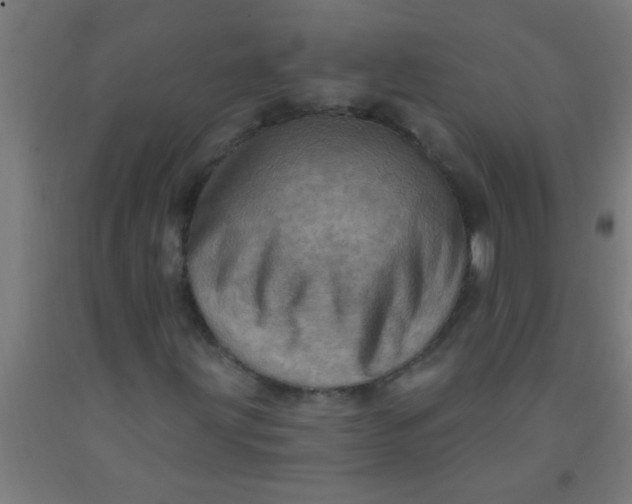 X0000092031203200709271602