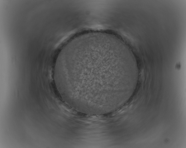 X0000092031205200709271602