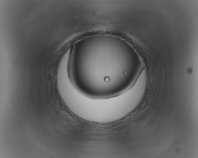 X0000092031206200709271602