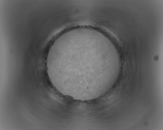 X0000092031207200709271602