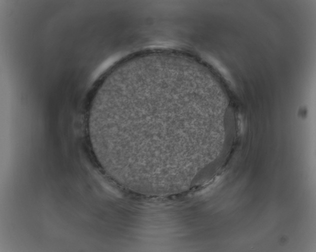 X0000092031208200709271602