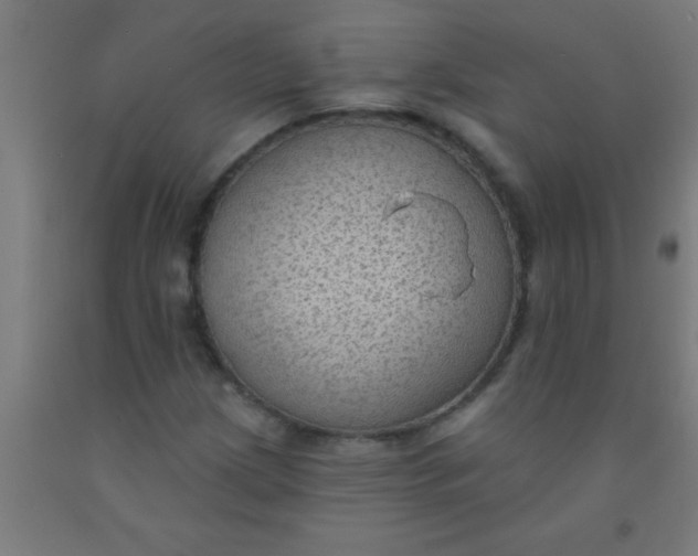 X0000092031209200709271603