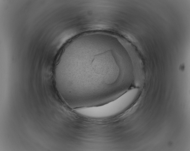 X0000092031210200709271603