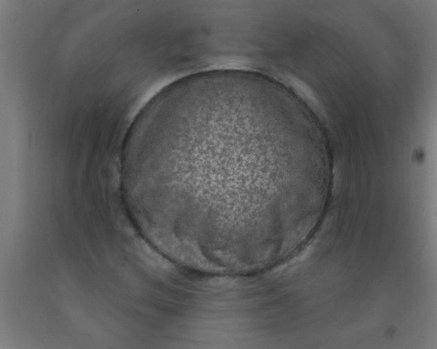 X0000092031212200709271603