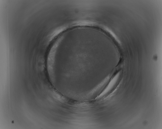 X0000092031213200709271603