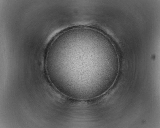 X0000092031214200709271603