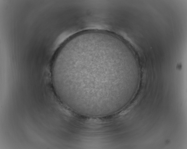 X0000092031215200709271603