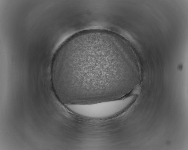 X0000092031216200709271603