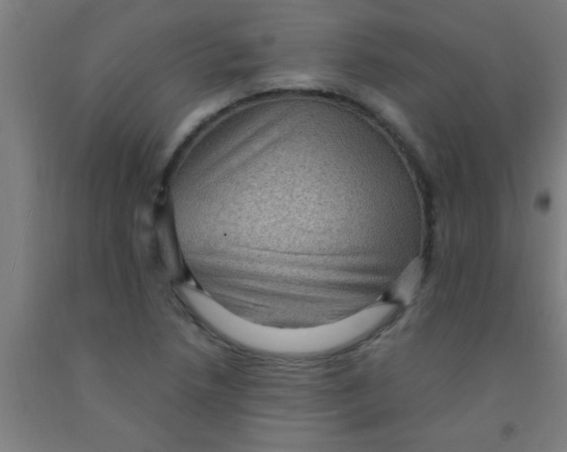 X0000092031218200709271603