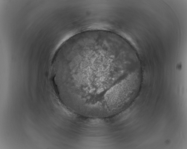 X0000092031219200709271603